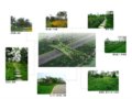 2008奧運精品工程之北京奧林匹克森林公園生態(tài)廊道