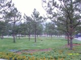 2008奧運優(yōu)質(zhì)工程之奧林匹克森林公園中心區(qū)