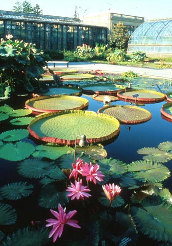 長木花園
