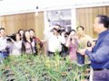 訪全國首位由政府命名的“藝蘭家”金定先[圖]