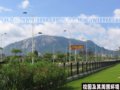 廈門大學(xué)漳州校區(qū)綠化(圖)