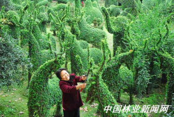 該區的綠雕植物生態園藝場一景