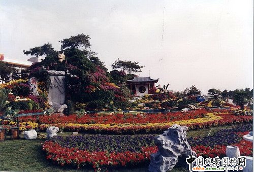 花壇(組圖)