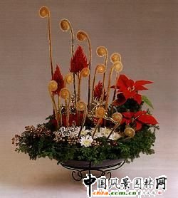 圣誕插花欣賞(組圖)