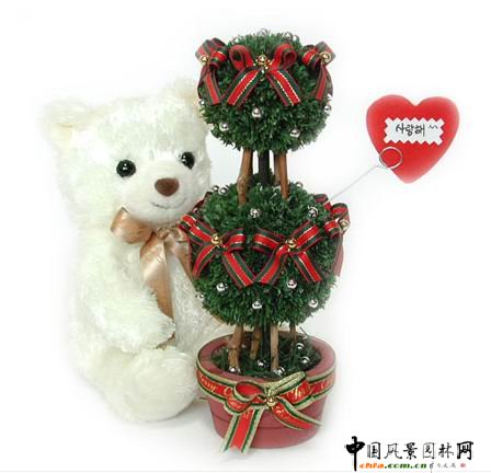 韓國風格的圣誕插花(組圖)
