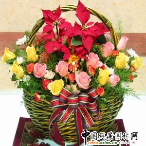 韓國(guó)風(fēng)格的圣誕插花(組圖)