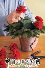 圣誕花藝DIY(組圖)