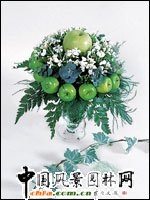 圣誕花藝DIY(組圖)