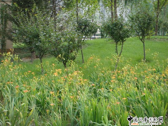 2008(yu)|֮ɇH@H^(q)@־^