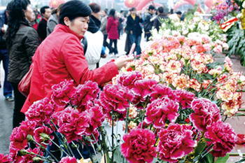 貴陽市：迎春花卉展銷會紅紅火火