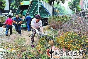 廣州節后鮮花丟棄 忙壞環衛工人