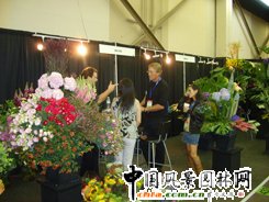 美國花博會布展現場