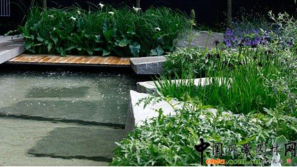 2009年切爾西花展最佳展園??每日電訊(組圖)