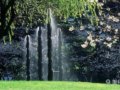 舊金山Sidney Walton公園設計