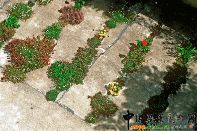 2009ASLA居住區(qū)設(shè)計類榮譽獎:裂縫花園