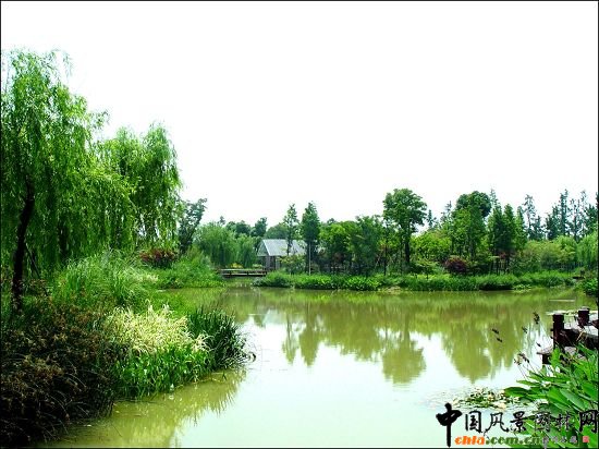 錢江新城世紀(jì)公園