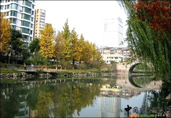 東河綠帶