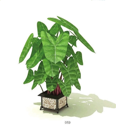 植物防輻射缺乏科學依據