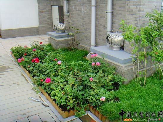 W\(yn)픾G--2009걱Ѓ(yu)|(zh)
