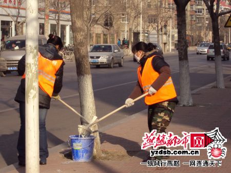 唐山：大樹穿上“殺蟲衣” 防止明年開春病蟲害的發生