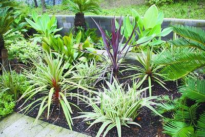 花境植物造景調色板(組圖)