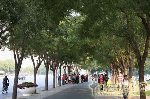張新宇 景觀設(shè)計(jì) 長安街 北京園博會(huì)設(shè)計(jì)師廣場 中國風(fēng)景園林網(wǎng)