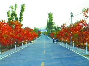 北京 公路 綠化 本土草 進(jìn)口草 中國(guó)風(fēng)景園林網(wǎng)
