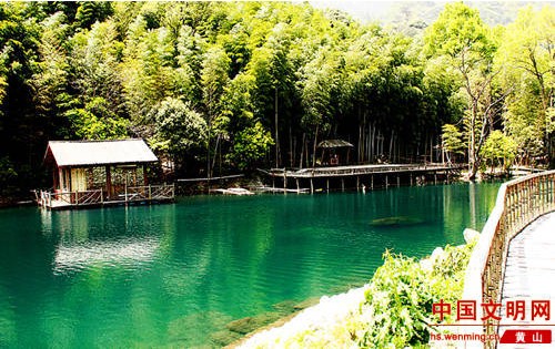 黃山 綠化 生態(tài)