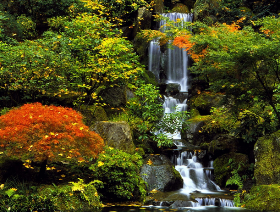 日本 景觀 庭院 設計 特色 水景 中國風景園林網
