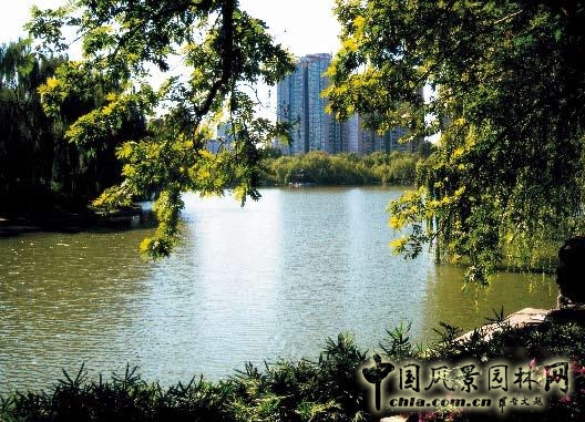劉秀晨 綠色的云  城市園林 規(guī)劃 設(shè)計 中國風(fēng)景園林網(wǎng)