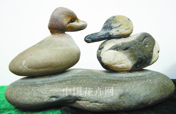 賞石 植物 動(dòng)物
