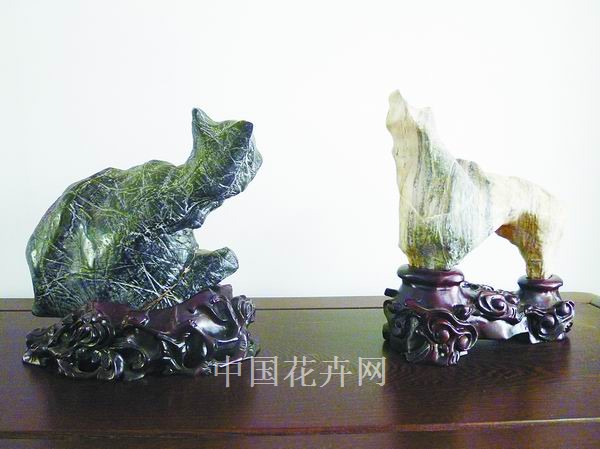 賞石 植物 動(dòng)物