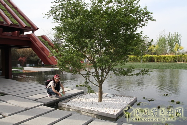 北京園博園 武漢園 旅游 景觀設(shè)計(jì) 公園 中國風(fēng)景園林網(wǎng)