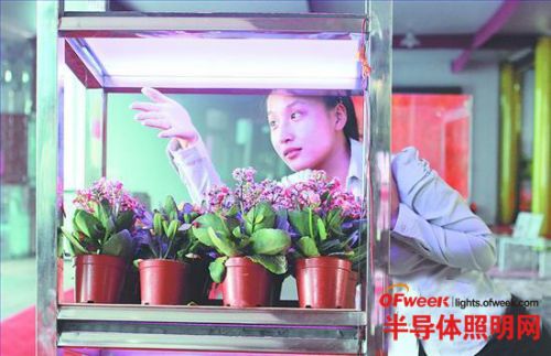 轉光玻璃