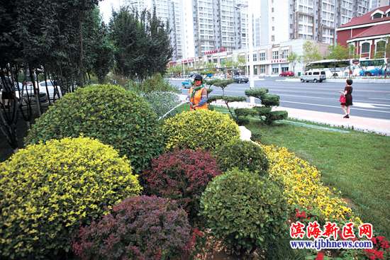 天津 園林  綠化