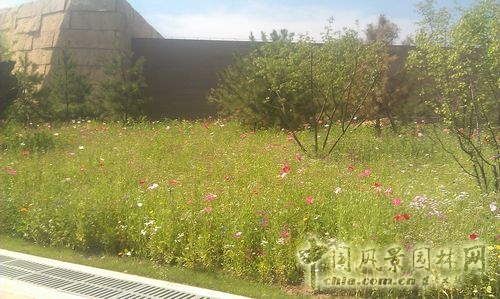 北京谷泉會(huì)議中心 上海園林 綠化工程 園林綠化