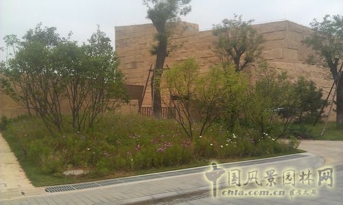 北京谷泉會議中心 上海園林 綠化工程 園林綠化