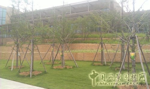 北京谷泉會(huì)議中心 上海園林 綠化工程 園林綠化