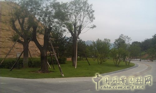 北京谷泉會(huì)議中心 上海園林 綠化工程 園林綠化