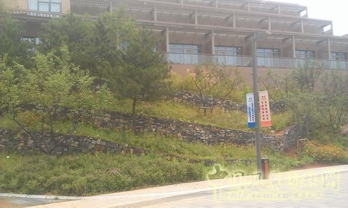 北京谷泉會議中心 上海園林 綠化工程 園林綠化