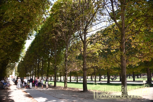 盧森堡公園 景觀設計 法國考察