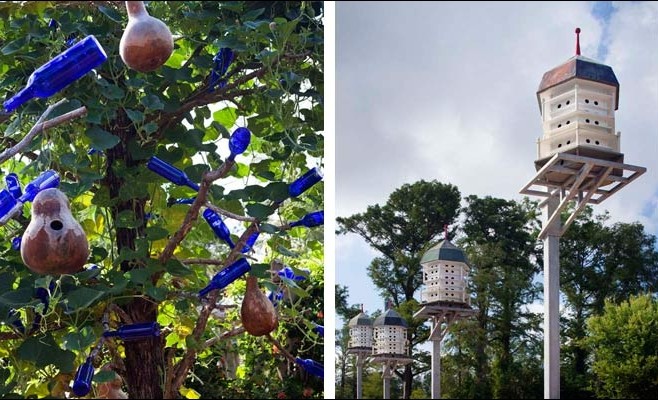 香格里拉植物園 景觀設計 植物園 可持續(xù)設計