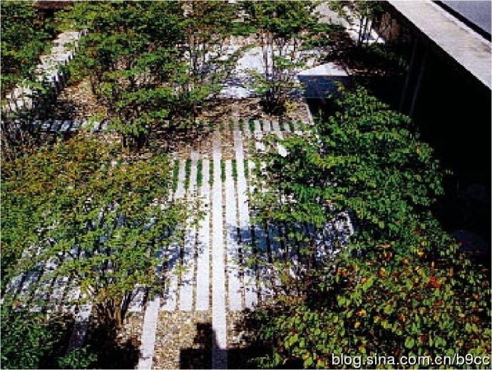 清里攝影美術(shù)館景觀設計