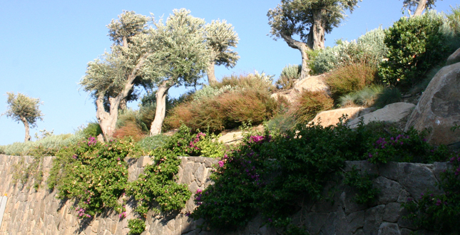 Hebil 157 Houses