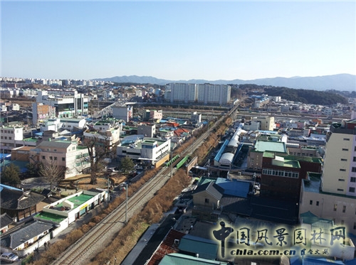 趙泰東：韓國(guó)江陵市城市林建設(shè)和管理計(jì)劃