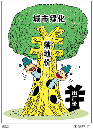 超級銀杏 綠化設(shè)計 規(guī)劃設(shè)計 城市綠化