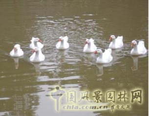 長庚養(yǎng)生文化村