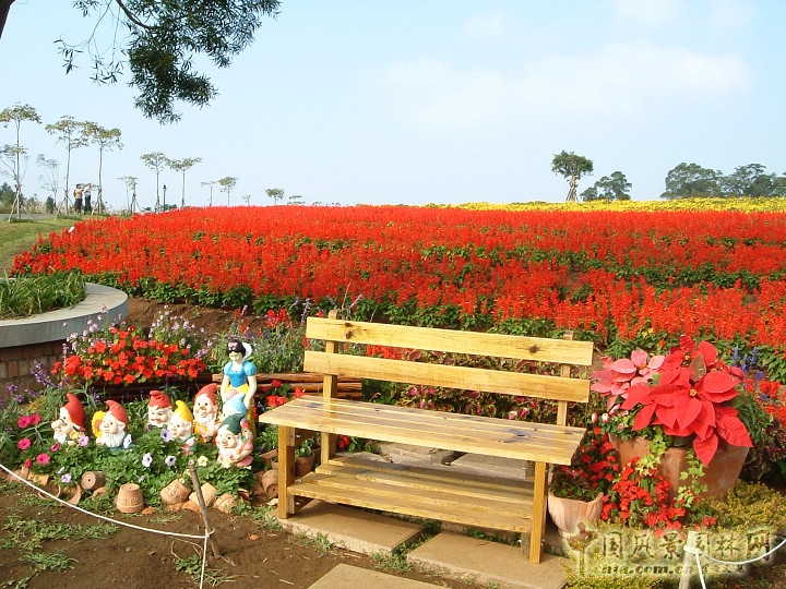 大溪花海農場