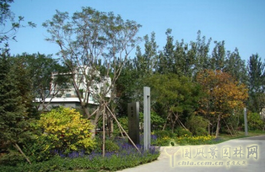 R-land北京源樹景觀作品——地產(chǎn)景觀類(一)