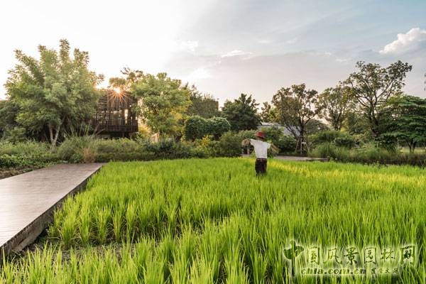 泰國Saraburi市Ming Mongkol綠色公園景觀設計